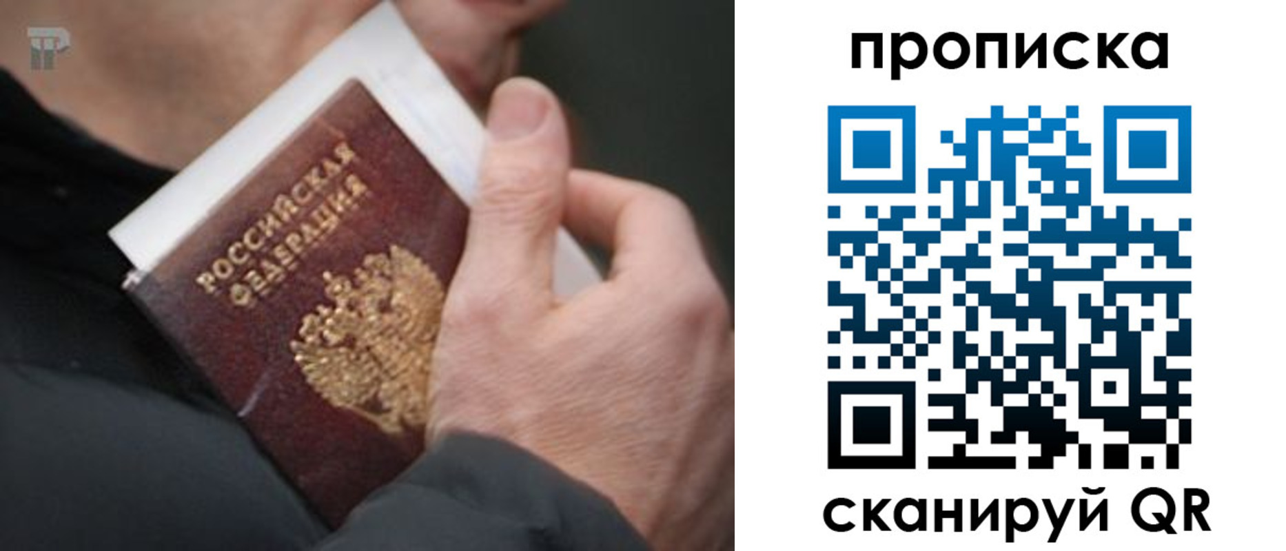 временная регистрация гарантия в Тавде